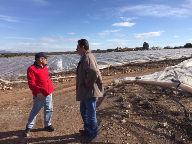 Visita a parrales afectados por la nevada - 132