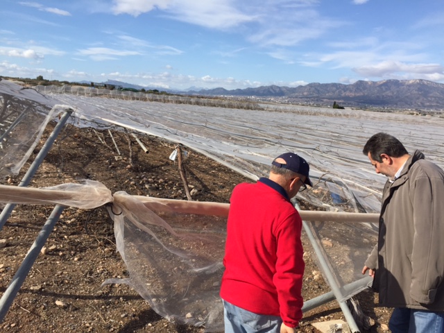 Visita a parrales afectados por la nevada - 134