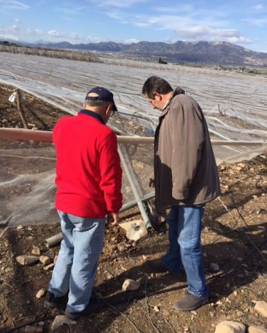 Visita a parrales afectados por la nevada - 135