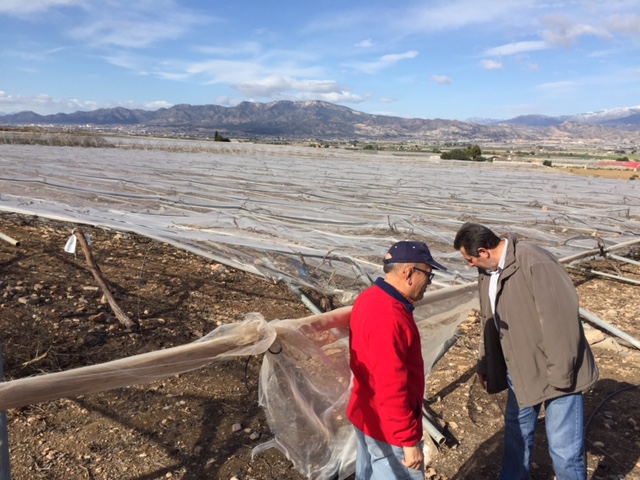 Visita a parrales afectados por la nevada - 136