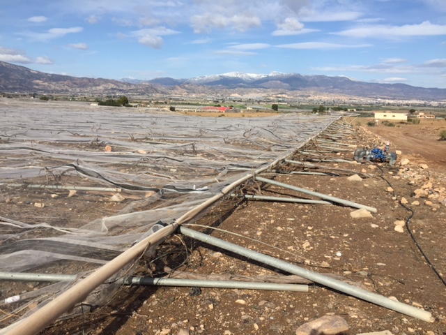 Visita a parrales afectados por la nevada - 138