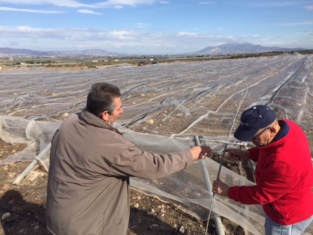 Visita a parrales afectados por la nevada - 142
