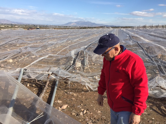 Visita a parrales afectados por la nevada - 144