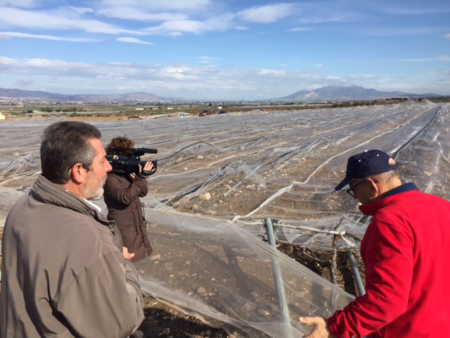 Visita a parrales afectados por la nevada - 145
