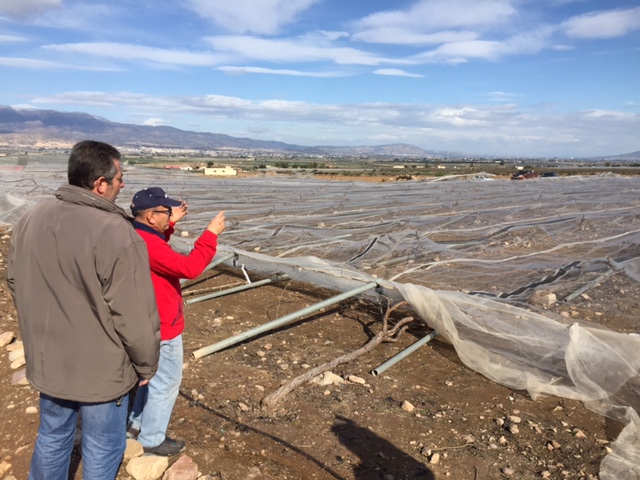 Visita a parrales afectados por la nevada - 146