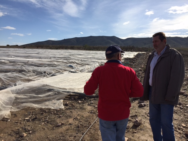 Visita a parrales afectados por la nevada - 147