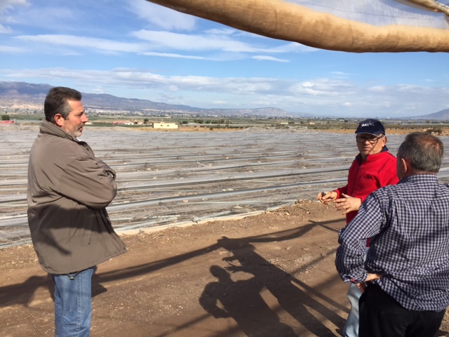 Visita a parrales afectados por la nevada - 148