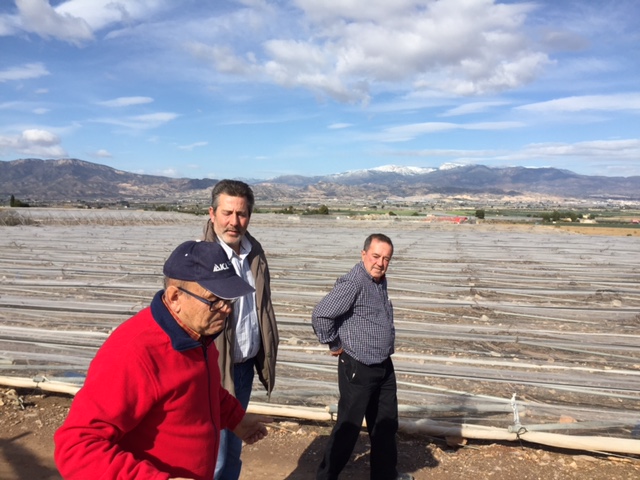 Visita a parrales afectados por la nevada - 152