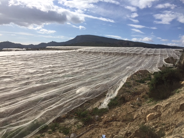 Visita a parrales afectados por la nevada - 153