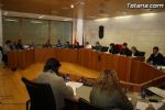 Pleno Febrero 2012