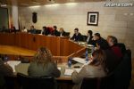 Pleno Febrero 2012