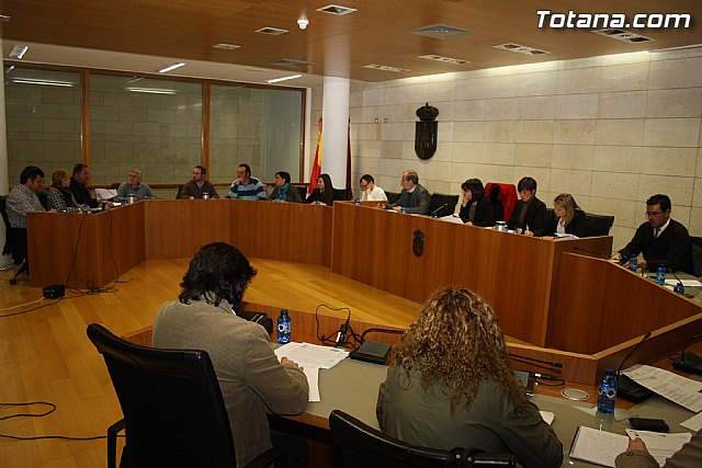 Pleno ordinario. Febrero 2012 - 1