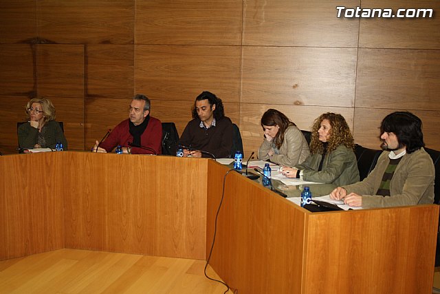 Pleno ordinario. Febrero 2012 - 6