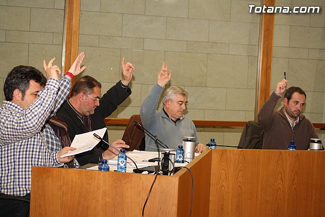 Pleno ordinario. Febrero 2012 - 10