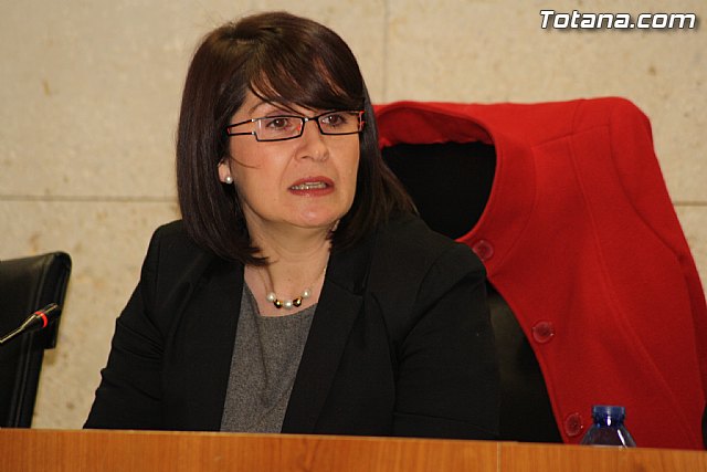 Pleno ordinario. Febrero 2012 - 11