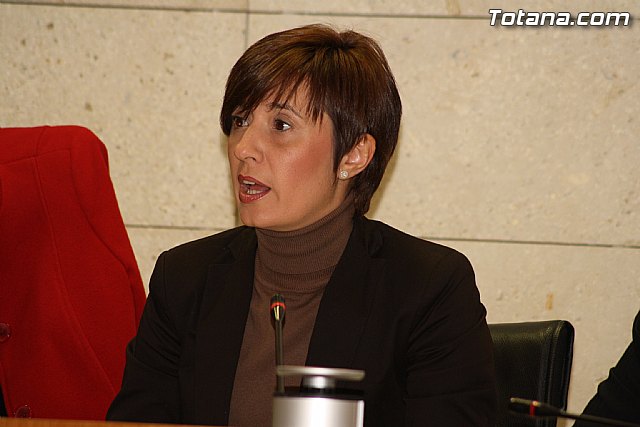 Pleno ordinario. Febrero 2012 - 12