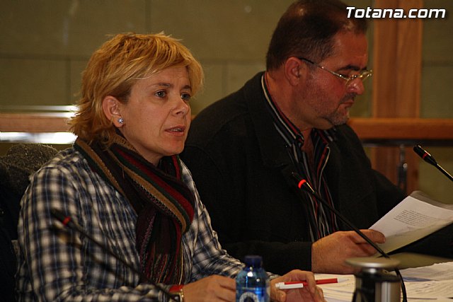 Pleno ordinario. Febrero 2012 - 13