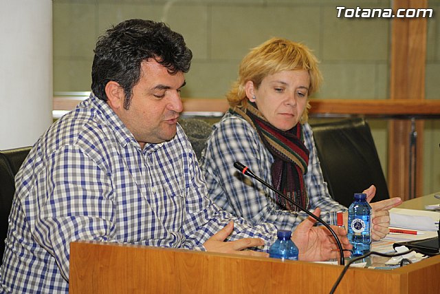 Pleno ordinario. Febrero 2012 - 18