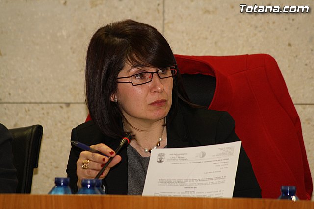 Pleno ordinario. Febrero 2012 - 28