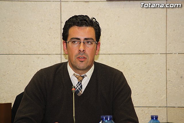 Pleno ordinario. Febrero 2012 - 29