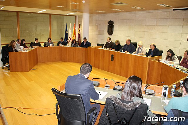 Pleno ordinario febrero 2017 - 1