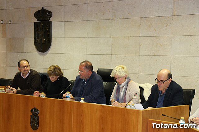 Pleno ordinario febrero 2017 - 4