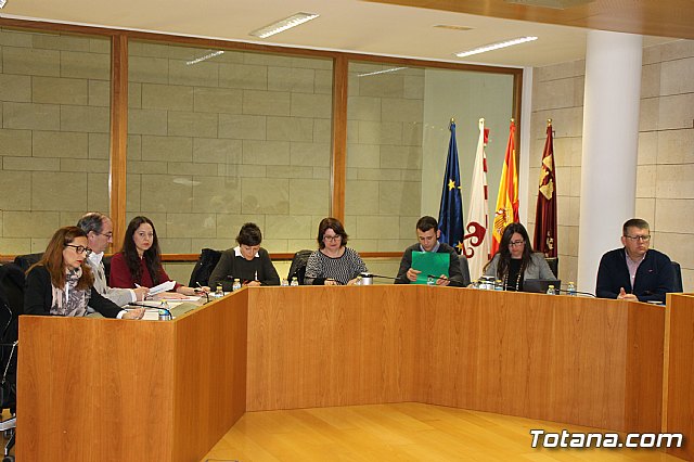 Pleno ordinario febrero 2017 - 6