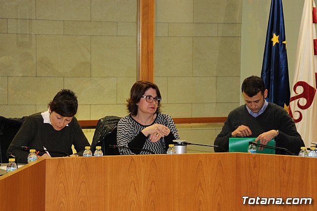 Pleno ordinario febrero 2017 - 8
