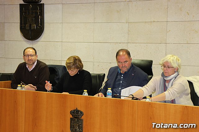 Pleno ordinario febrero 2017 - 9