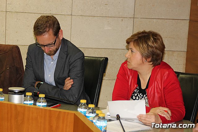 Pleno ordinario febrero 2017 - 10