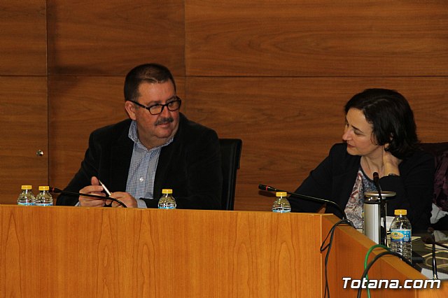 Pleno ordinario febrero 2017 - 12