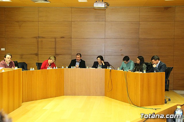 Pleno ordinario febrero 2017 - 15