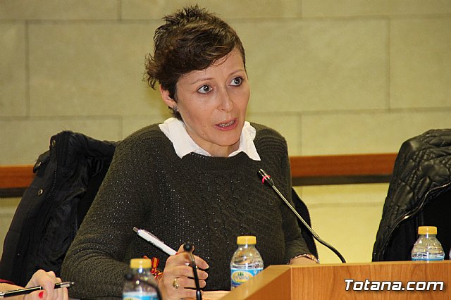 Pleno ordinario febrero 2017 - 22