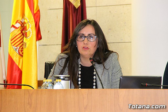 Pleno ordinario febrero 2017 - 26