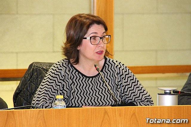 Pleno ordinario febrero 2017 - 31