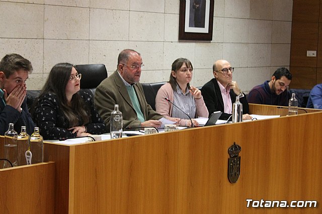 Pleno ordinario diciembre 2019 - 2