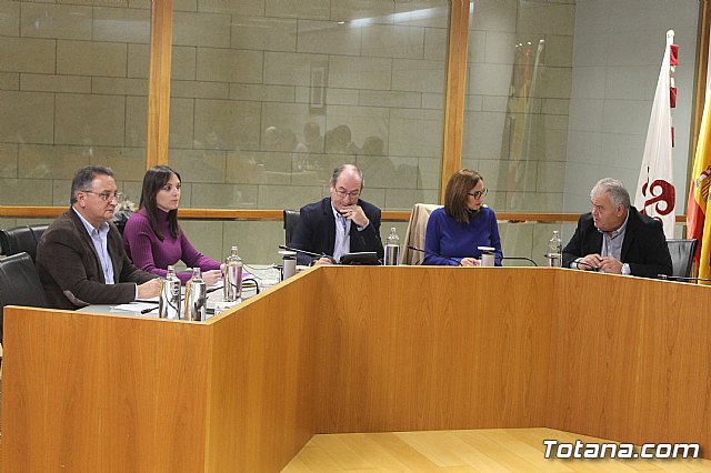 Pleno ordinario diciembre 2019 - 6