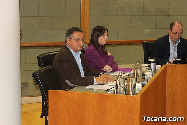 Pleno ordinario diciembre 2019 - 11