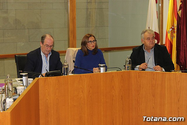 Pleno ordinario diciembre 2019 - 12