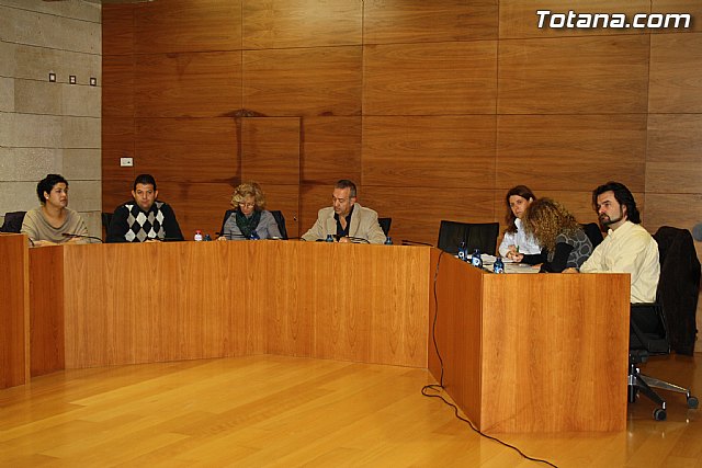 Pleno ordinario noviembre 2011 - 10