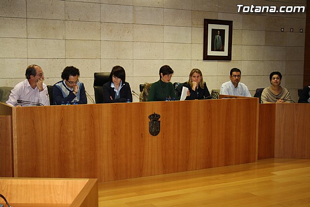 Pleno ordinario noviembre 2011 - 11
