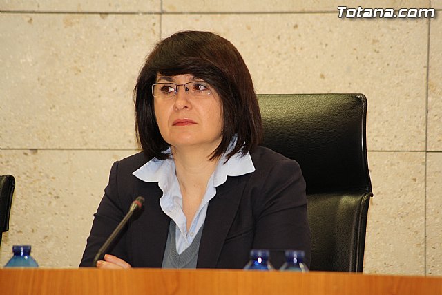 Pleno ordinario noviembre 2011 - 14