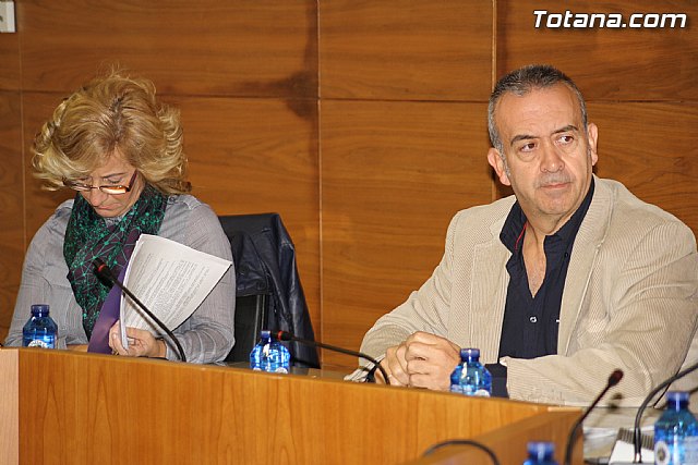 Pleno ordinario noviembre 2011 - 16