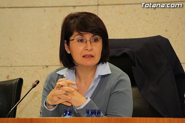 Pleno ordinario noviembre 2011 - 41