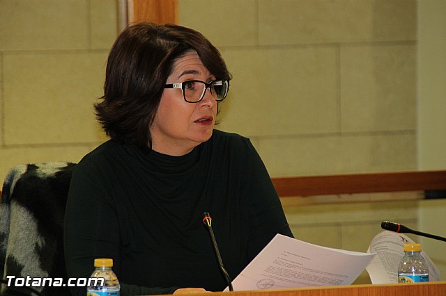 Pleno ordinario noviembre 2016 - 12