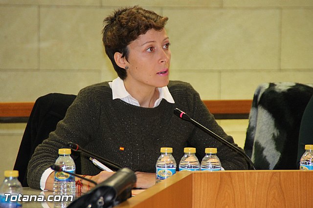 Pleno ordinario noviembre 2016 - 16