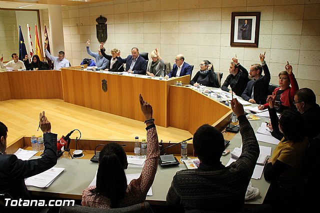 Pleno ordinario noviembre 2016 - 18