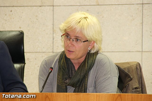 Pleno ordinario noviembre 2016 - 21