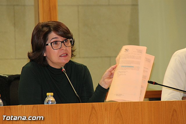 Pleno ordinario noviembre 2016 - 30