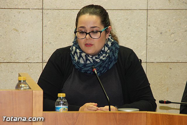 Pleno ordinario noviembre 2016 - 35